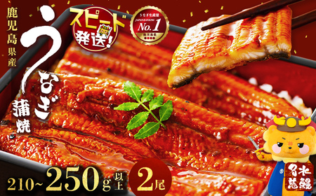 y10cƓȓɔzYȂ V 2v210`250gȏい Ȃ V EiM 2 Y  ΂₫ Ⓚ ^ ^pbN  ȏd Ђ܂Ԃ ^ R a0-390