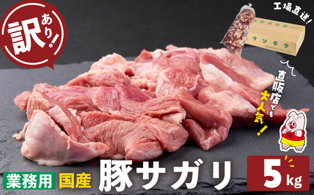 [訳あり・業務用]希少部位!!国産豚サガリ(計5kg) 国産 豚肉 豚肉 豚 肉 冷凍 5kg 訳あり 業務用 サガリ つまみ おつまみ 炒め物 焼肉 BBQ 赤身 カレー シチュー 煮込み ハラミ