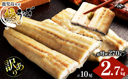 y󂠂zYIc̋ɂȂĂ 10(v2.7kgȏE1270g`299g) Y Y V ^ Ⓚ Ă Ȃ 󂠂 wa0-004