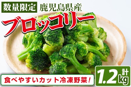 鹿児島県産 冷凍ブロッコリー(計1.2kg) ブロッコリー 野菜 冷凍 カット カット野菜 国産 簡単 手軽 サラダ 味噌汁 スープ お弁当 a1-039