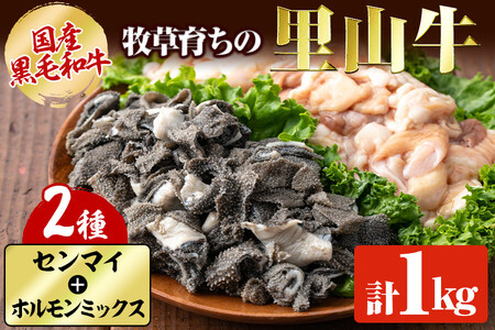 国産黒毛和牛 牧草育ちの里山牛 センマイ・ホルモンミックス計1kg 黒毛和牛 和牛 肉 牛肉 国産 ホルモン センマイ もつ 焼肉 BBQ