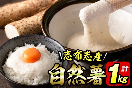 n̕IuzuYR 1kgȏ(1`2{) a1-108