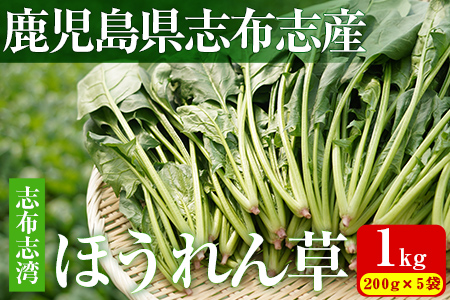yʌzuzupق(200g×5 v1kg) T_ Ђ X` X[W[ ق W[X ق񂻂 a1-032