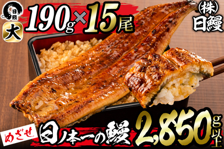 日ノ本一の鰻の蒲焼き[大]計15尾セット(計2,850g以上) wa24-006