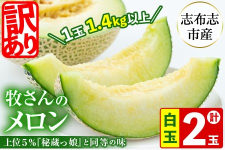 [冬限定・数量限定]牧さんの訳ありメロン 白玉(青肉)計2玉 メロン マスクメロン 果物 くだもの デザート 青肉 訳あり b0-106-w