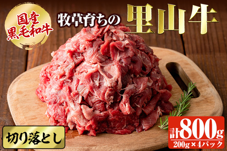 Yјa q炿̗R ؂藎Ƃv800g(200g×4pbN) јa a   Y ؂藎Ƃ Ԑg ^pbN a9-022