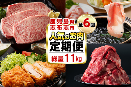 [定期便・全6回]お肉のお楽しみ定期便 総量11.8kg超 t