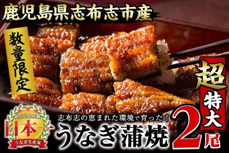 【数量限定】うなぎの大楠＜超特大＞2尾セット計380g以上(190g×2) うなぎ 鰻 ウナギ 2尾 国産 九州産 蒲焼き かばやき 冷凍 うな重 ひつまぶし タレ 山椒 真空パック ランキング 人気 a7-002