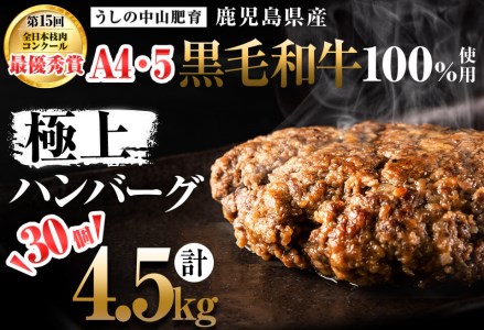 [A4・A5等級]鹿児島県産黒毛和牛100%使用極上ハンバーグ計4.5kg(150g×30個)