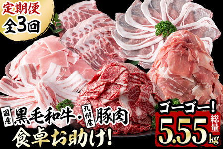 [定期便・全3回]国産黒毛和牛と九州産豚肉の食卓お助けゴーゴー定期便 計5.55kg t