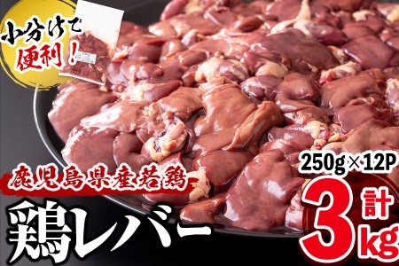 小分けで便利!鹿児島県産鶏レバー 計3kg(250g×12P)