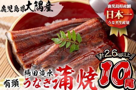 楠田の極うなぎ 蒲焼き 260g以上×10尾(計2.6kg以上) うなぎ 鰻 ウナギ 国産 鹿児島県産 九州産 蒲焼き 冷凍 うな重 ひつまぶし wa24-003