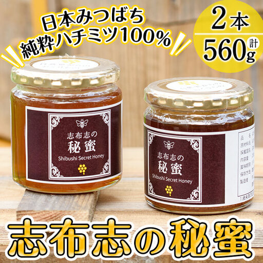 b2-003 日本みつばちの純粋蜂蜜＜志布志の秘蜜＞計560g(280g×2本)