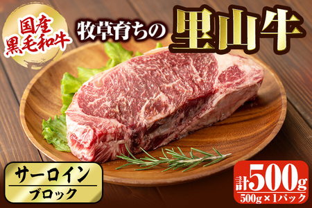 国産黒毛和牛 牧草育ちの里山牛 サーロインブロック 500g 黒毛和牛 和牛 肉 牛肉 国産 サーロイン ブロック 赤身 ステーキ