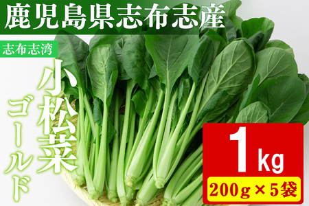 [期間限定]志布志湾小松菜ゴールド(計1kg・200g×5袋) 小松菜 こまつな こまつ菜 コマツナ 野菜 やさい 小分け パスタ ナムル スムージー ラーメン 炊き込みご飯 期間限定 鹿児島県産 志布志 1kg