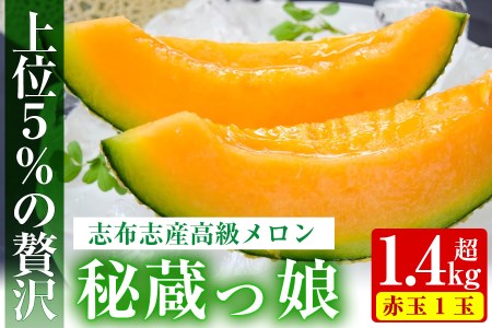 [冬限定]極上メロン「秘蔵っ娘」赤玉(赤肉)1個 メロン マスクメロン 果物 くだもの デザート 赤肉 a5-060-w