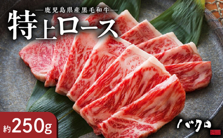 特上ロース焼肉 250g A152-003 鹿児島黒牛 ロース 牛肉 国産 黒毛和牛 黒毛 和牛 脂の旨み 焼肉 鉄板焼き お料理 ごはんのおかず 食品 黒牛