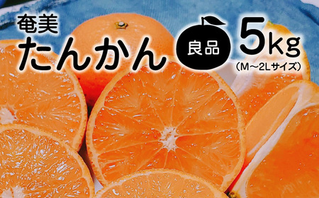 [ 2025年 先行予約 ]奄美タンカン 良品 5kg( 2L 〜 Mサイズ ) A074-001 たんかん 果物 フルーツ 果実 甘い 濃厚 産地直送 先行受付 予約 受付 特産品 奄美大島産 期間限定 鹿児島 奄美 美味しい おいしい ジューシー 果汁 叶農園 ふるさと納税 奄美市 おすすめ ランキング プレゼント ギフト