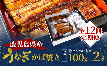 y S12  z V Ȃ u O v Y Ȃ ΏĂ 100g × 2 Zbg A040-T03 V EiM Ă y     ׂ Ȃׂ Ⓚ ֗ ȒP