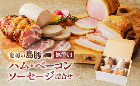 奄美の 島豚 「 無添加 」 ハム ・ ベーコン ・ ソーセージ の 詰合せ A176-001 奄美黒豚 黒豚 加工品 総菜 惣菜 冷凍 朝食 昼食 お弁当 おかず ハムエッグ ロースハム ベーコンエッグ ポークソーセージ ポークソーセージ ホットドッグ 美味しい おいしい 鹿児島ますや ふるさと納税 奄美市 おすすめ ランキング プレゼント ギフト