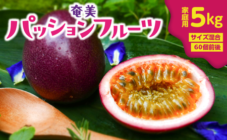 奄美 パッションフルーツ 5kg 家庭用 ( サイズ混合 )( 60個 前後 ) A135-006 フルーツ 果物 南国 期間限定 限定 デザート 家庭 自然 美味しい カクテル ヨーグルト サラダ orietty's farm ふるさと納税 おすすめ ランキング プレゼント ギフト