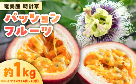 奄美産 時計草 ( パッションフルーツ ) 約1kg A021-048-01 フルーツ 果物 南国 デザート 家庭用 期間限定 限定 自然 美味しい カクテル ヨーグルト 安田商店 ふるさと納税 鹿児島 奄美市 おすすめ ランキング プレゼント ギフト