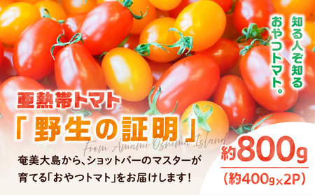 【 2026年 先行予約 】亜熱帯 トマト「 野生 の 証明 」約800g（ 約400g × 2P ） A021-002-01 甘い 野菜 奄美 フルーツトマト ミニトマト 予約 事前受付 受付 事前申込 おやつ おつまみ 南国 安田商店 ふるさと納税 奄美市 おすすめ ランキング プレゼント ギフト