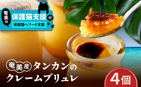[ 奄美 の 保護猫 支援( 保護猫フード 10日分 )]+ 奄美産 タンカン の クレーム ブリュレ ( 4個 入り ) A071-002-01 菓子 スイーツ クリームブリュレ デザート 支援 プロェクト cafeCOVOTANA ふるさと納税 鹿児島 奄美市 おすすめ ランキング プレゼント ギフト