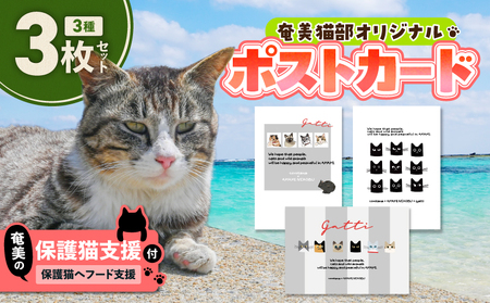 [ 奄美 の 保護猫支援 ( 保護猫 フード 10日分 )] + ポストカード 3枚 セット A071-006 お手紙 デザイン 3種 オリジナルポストカード プロジェクト cafeCOVOTANA ふるさと納税 鹿児島 奄美市 おすすめ ランキング プレゼント ギフト