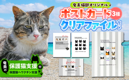 [ 奄美 の 保護猫支援 ( ワクチン 代 )] + ポストカード & クリアファイル セット A071-009 お手紙 猫デザイン 3種 オリジナルポストカード A4サイズクリアファイル 保護プロジェクト cafeCOVOTANA ふるさと納税 鹿児島 奄美市 おすすめ ランキング プレゼント ギフト