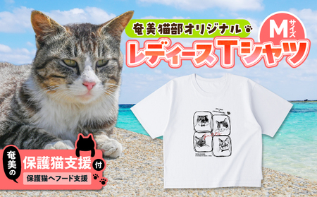 [ 奄美 の 保護猫支援 ( 保護猫 フード 10日分 )] + レディース Tシャツ A071-011 服 洋服 レディースTシャツ Mサイズ 綿100% 白 プロジェクト cafeCOVOTANA ふるさと納税 鹿児島 奄美市 おすすめ ランキング プレゼント ギフト