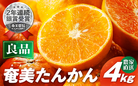 [ 2025年 先行予約 ] 農家直送 奄美 たんかん 良品4kg A067-001 奄美たんかん タンカン 果物 フルーツ 果実 甘い 濃厚 産地 直送 先行 先行受付 予約 受付 特産品 奄美大島産 期間限定 奄美群島品評会 鹿児島 美味しい おいしい ジューシー 果汁 ワイワイファーム ふるさと納税 奄美市 おすすめ ランキング プレゼント ギフト