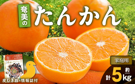 [ 2025年 先行予約 ] 奄美 の たんかん 家庭用 5kg ( 皮むき器 ・ 情報誌付 ) A052-022-01 果物 フルーツ 奄美産たんかん 先行受付 しーま ふるさと納税 奄美市 おすすめ ランキング プレゼント ギフト