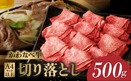 023-18 A4NȏIȂ׋؂藎Ƃ500g