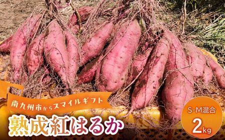 037-40 熟成紅はるか２kg