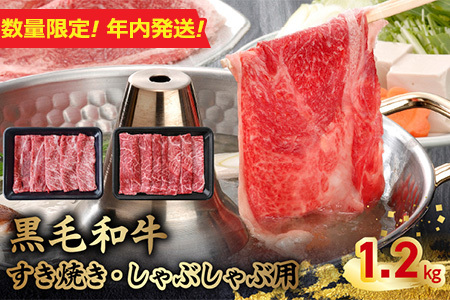 076-61-3 yʌENzzјaĂEԂԗp1.2kg