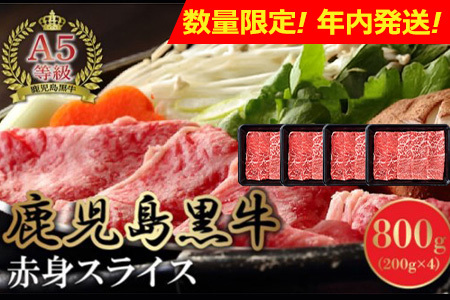 076-02-2 yʌENzz A5YјaԐgXCX800g