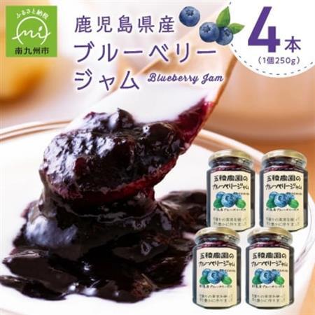 ブルーベリージャム 250g×4個【1186202】