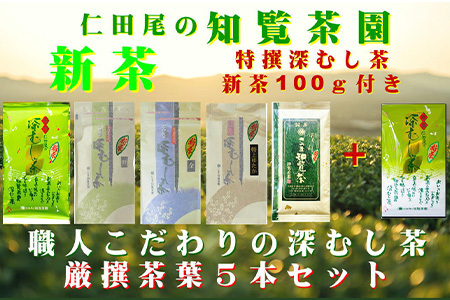 129-03-1 [知覧茶新茶祭り][期間限定･増量]知覧茶園深むし茶 厳撰茶葉5本セット 特撰深むし茶100g付