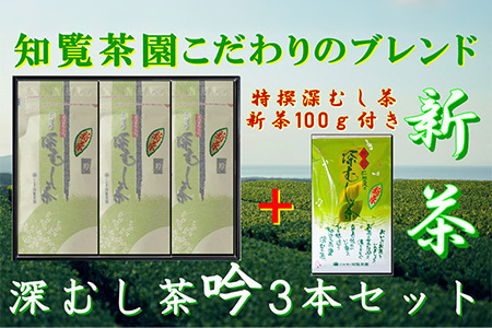 129-06-1 [知覧茶新茶祭り][期間限定･増量]知覧茶園の深むし茶「吟」3本セット 特撰深むし茶100g付