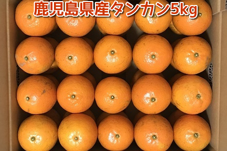 002-16 選りすぐり薩摩濃密タンカン5kg