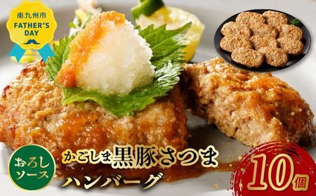 052-25-1 [父の日に]かごしま黒豚ハンバーグおろしソース10個