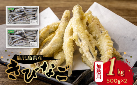 鹿児島県産キビナゴ1kg
