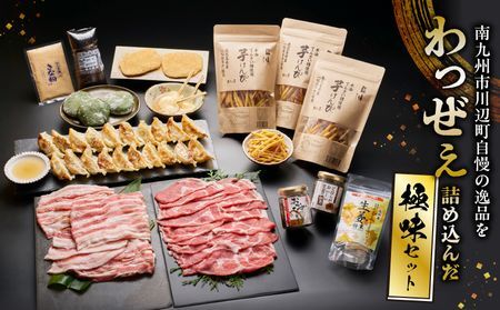 072-03 南九州市川辺町自慢の逸品をわっぜぇ詰め込んだ【極味】セット