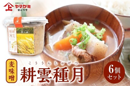 ヤマガミ「耕雲種月」味噌6個セット