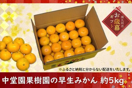 121-01-1 yΕɁzʎ݂̑