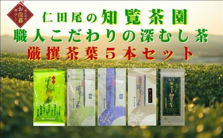 129-03-2 yΕɁzm[ނ t5{Zbg