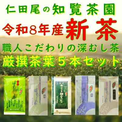 [令和8年産 新茶予約 贈答用]知覧茶園深むし茶 厳撰茶葉5本セット
