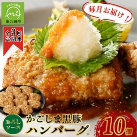 [毎月定期便]かごしま黒豚ハンバーグおろしソース10個(南九州市)全3回[配送不可地域:離島]