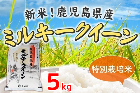 令和7年鹿児島県産ミルキークイーン特別栽培米5kg